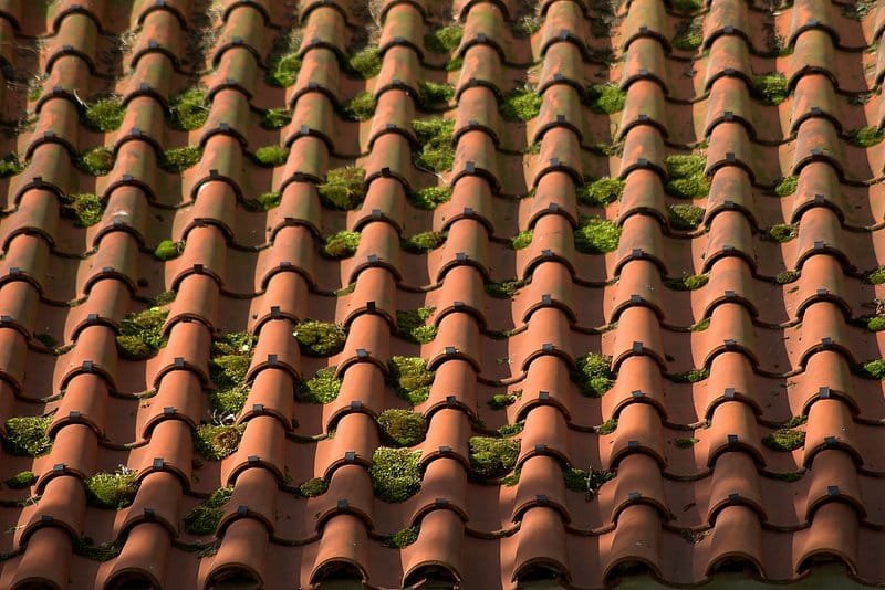 Close-up texture of clay tile roofing
